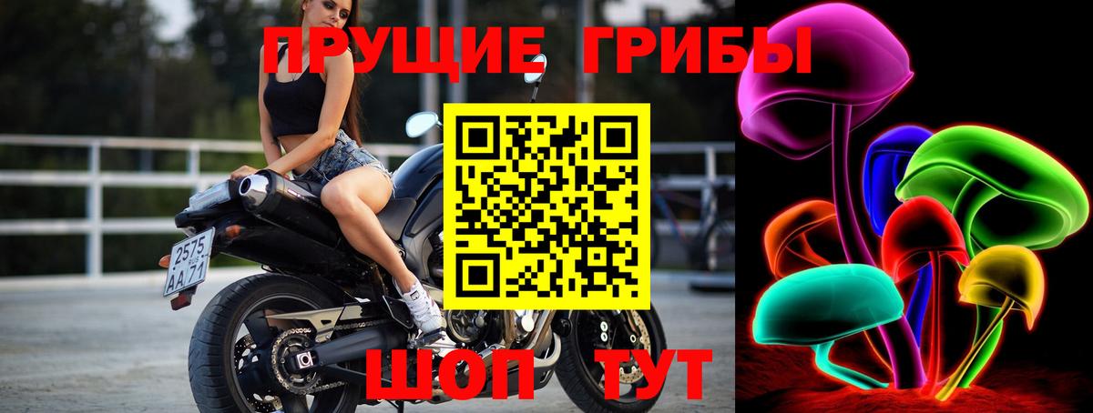 Черняховск  Галлюциногенные грибы Psilocybe  что такое наркотик  Вход с VPN  Псилоцибиновые грибы Psilocybine cubensis 